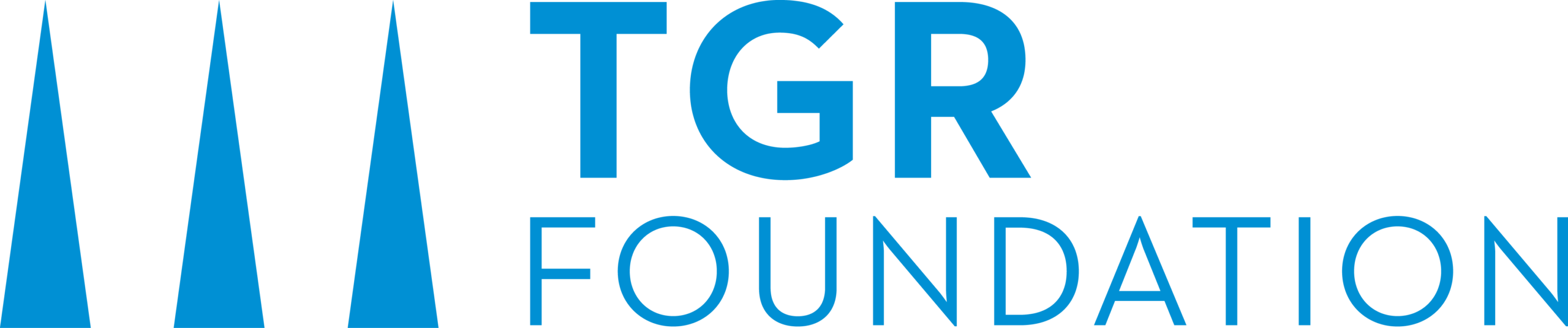 Tiger Woods Foundation